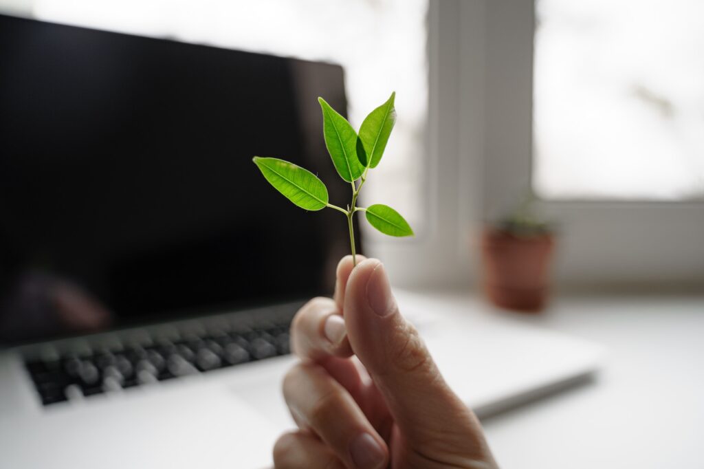 Hand with green plant on the laptop background. E-waste concept. Carbon tech footprint